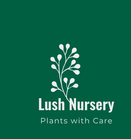 Exotic Plants in Pakistan | Lush Nursery