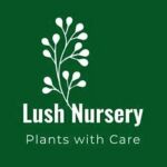 Lush Nursery